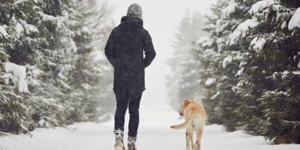 Avant de marcher pour passer l’hiver chez Kinatex Sports Physio, Québec et Ontario.